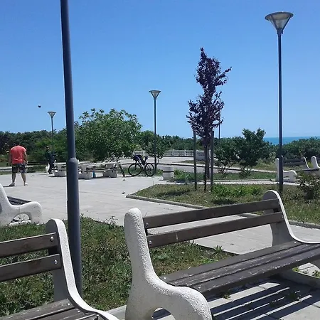 Sarafov * Burgas City